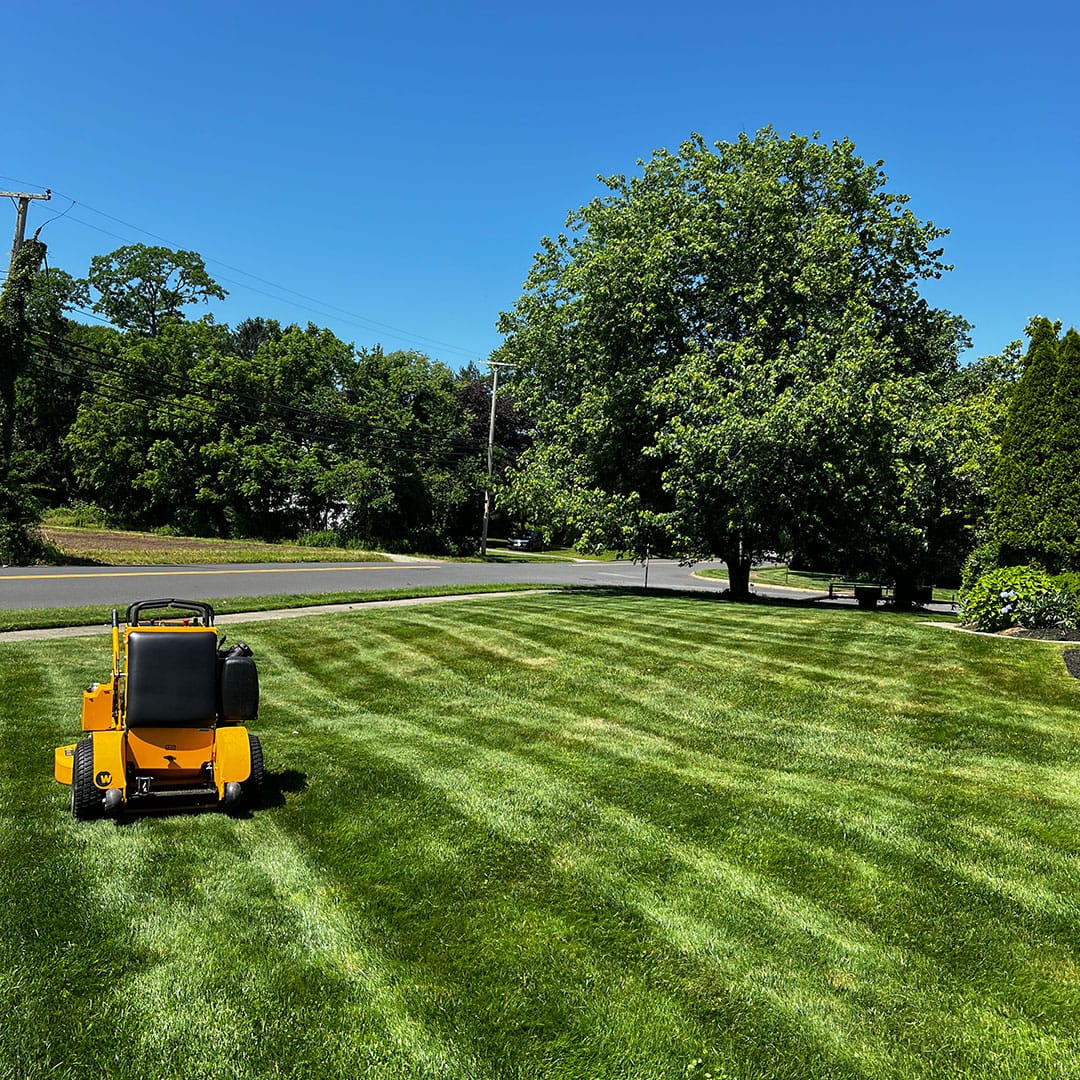 Lawn Care & Maintenace